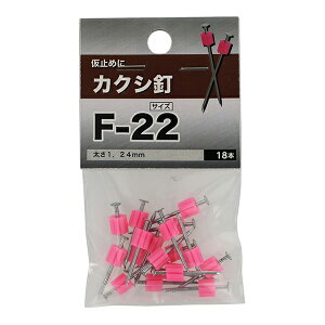 �y���[���։z�����˂� �J�N�V�B F-22 18�{��