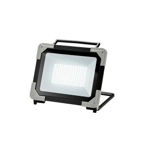TAKAGI ���V EARTH MAN LED���[�N���C�g100W WLT-100LA