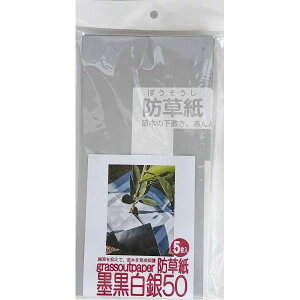 y[֑zF{X h n50 50cm×50cm 5
