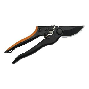 y[֑zDAISHIN i OXt@Co[ DS-GF001