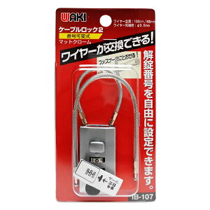 y[֑zWAKI aCY P[uC[bN2 Vo[ ԍώ IB-107