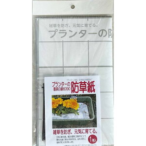 y[֑zF{X v^[̖h n6090 60cm×90cm 1