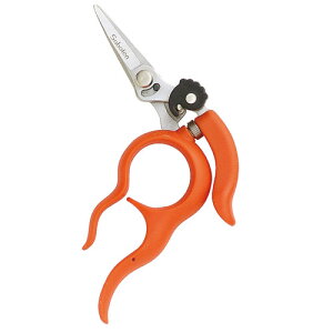 �y���[���֑��������z�T�{�e�� ���肪�g������n�� �_�Ɨp No.1318S