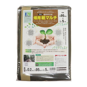 �}�c���g Zephyrus �[�t�B���X ���Y �_�p�Đ��� ���p���}���` ����95cm×������5m