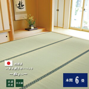 y[J[zCPqRER[|[V Y oڐD ~J[ybg  {6 286.5×382cm