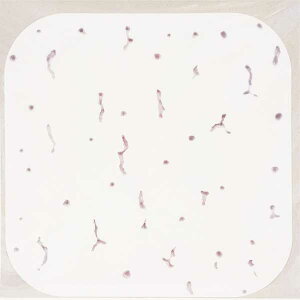 y[։zHISAGO qTS VV[ Wvg[ 140mm×140mm 1V[g OP4000