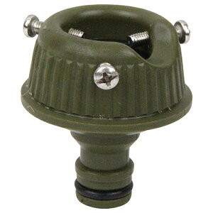 Y ZteB[3 RCz[Xp֌jbv olivE