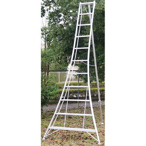 y[J[zACR A~|Or 330cm KWX-330
