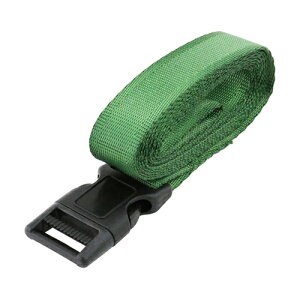 Y E-Value ^b`גxg I[uO[ 25mm×2m PT-252iOGj