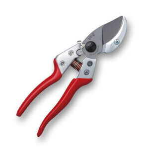 y[֑zAXR[|[V RpNgAr VA-8Z