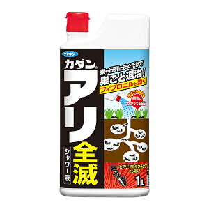 t}L[ J_ ApE ASŃV[t 1L