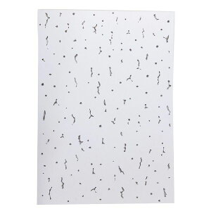 WAKI aCY HISAGO qTS VV[ Wvg[ A4 210mm×297mm 10 GB5000