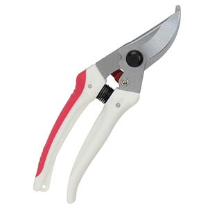 y[֑zY g K[f TbN SGP-43