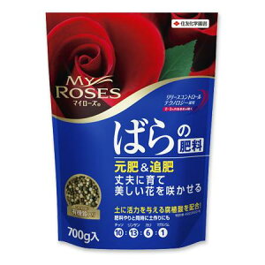 ZFw| }C[Y ΂̔엿 700g