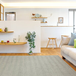 y[J[z哇 􂦂WK[hO C 180cm×240cm O[W