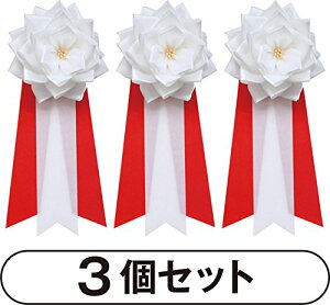  {o i op{ joJ 3 Zbg   SHɕt { Ss Nbv J T{ KN RT[W  {L   sN   o{ 