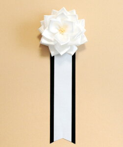 ₨ʂAÂԉAБŋɂ锒̋̓{oy{ozíj