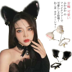  J`[V t lR ˂݂ `[J[ { t   ݂ ̎ J`[V nEB RXv ߑ RX`[ L oj[K[ Aj} 