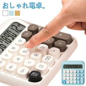 d ^LCDfBXvC HX Mtg 킢 d ۃ{^ rWlX 12 L vZ@ Ɩ TCY L  d ItBX e p dqvZ@ ~j T v