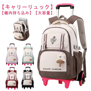 qp s bNL[ g[bN bN ԕt 2/6 ʊw L[obO bNTbN X[cP[X 2WAY o w obNpbN Z w K @