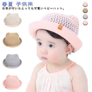 xr[p nbg R Xq xr[Xq  UVJbg L j̎q  t qp t Ԃ xr[Xq oYj v[g  O΍  n