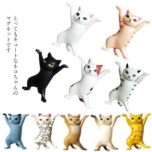  n}  ̃fUC ①Ƀ}Olbg  zCg{[h ItBX  v[g lR5CZbg