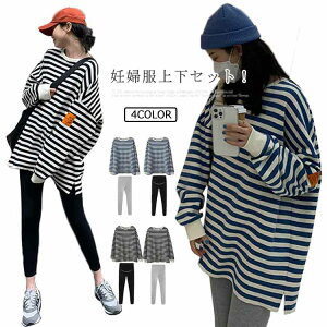 `jbN Dw g[i[ Y }^jeBEFA MX 2_Zbg {[_[ ȍ v[g  ㉺Zbg O gbvX  10 Mp MXpc YO }