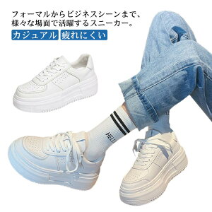 Xj[J[ fB[X zCg  C V[Y R[gV[Y [Jbg Xj[J[ JWA Vv ʋ ʊw X|[cV[Y lC y EH[LOV[Y X|[c J