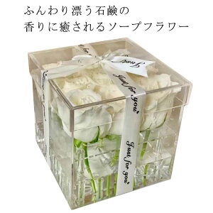 \[vt[{bNX \[vt[ {bNX V{t[  [Y KN ^^Cv  Ό  { 傫  BOX F tOX j ̓ hV̓ Mtg 