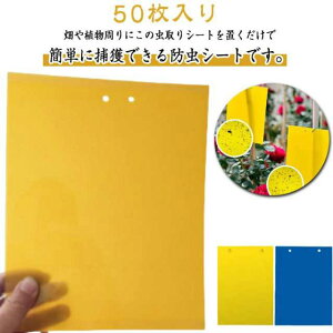 ߒV[g K[fjO 50 ߂SV[g  XeBbL[ ʗp 50 Q΍ ͔S Lb`[ nG AuV ~oG ߊl OΉ gbv _