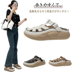 Oǂ fB[X ~  T_ T_ Xb| gAbv T{T_ y r L JWAV[Y ʋC EH[LO t 