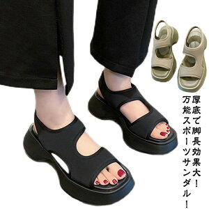 T_ T_ fB[X ₷ X|[cT_ X|T y  T_Xj[J[ EFbW\[ EFbWT_ q[ r y ɂȂ Ȃ JW