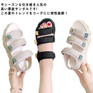 X|[cT_ T_  T_ fB[X RtH[g T_ r[`T_ y C C xN xgT_ Xj[J[T_ Xj[J[ ₷ AE