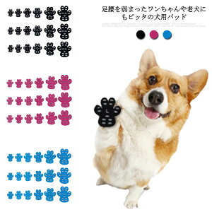 h~ ppbh tȒP V[g ی ]|h~ o ybgpi h ~ ^ ^ ppbh U ^