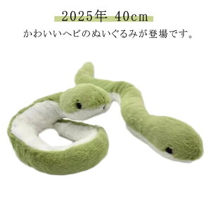 }XRbg wr ߘa7N  ւ  xLbg N 킢  CeA v[g ʂ x a u   2025N lC Mtg ւ ʂ 40cm  