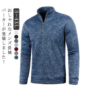  StEFA H~ X|[c |Vc |Vc n[tWbv Polo Y  gbvX nClbN n p[J[ h g[i[ TVc am  ʋ StEFA