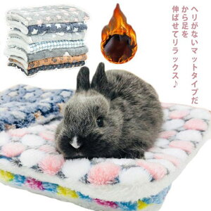 pӂӂxbh ybgxbh  xbh 􂦂 ybg NbV zc }bg  ʔN ~ {A ܏ [W}bg p ? gg Mj[sbO nX^