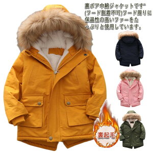 AE^[ WjA bYR[g h qR[g R[g LbY Wp[ {A ̎q  {A t@[t u] WPbg j̎q ؍ q g LbY  H~ N