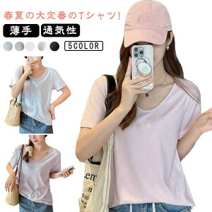 tVc fB[X VlbN Jbg\[  vlbN   Ci[TVc  gbvX n 傫TCY Vv  A_[EFA TVc ʋC JWA