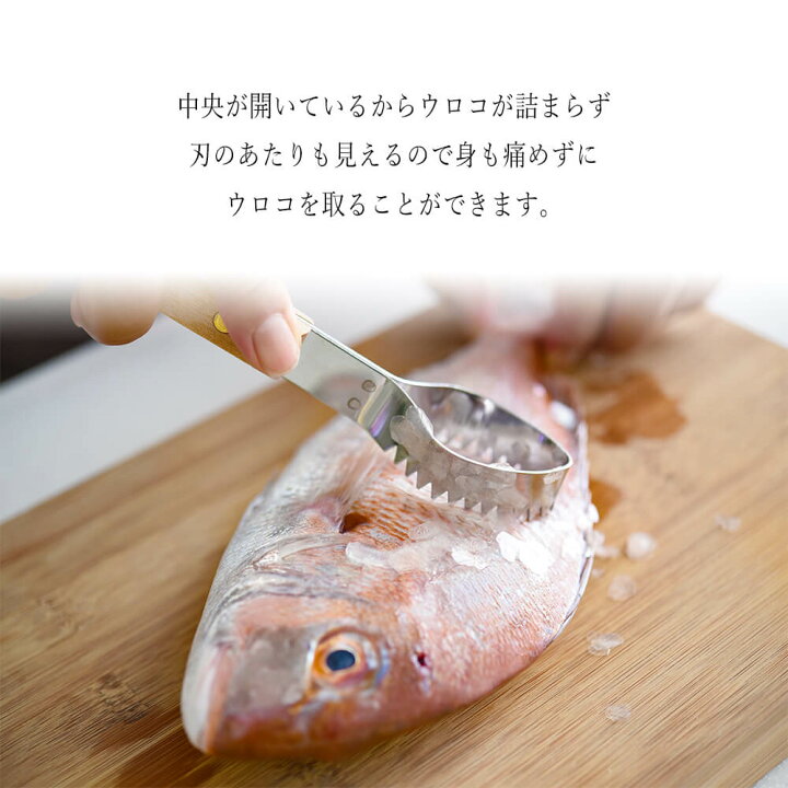 楽天市場 出刃包丁 ステンレス ウロコ取り 魚 骨抜き ネコ 燕の匠技 猫柄 セット ほね抜き ウロコ取り うろこ 取り 魚 調理 おすすめ 魚の 日本製 ねこ 燕 和包丁 専用箱入れ 魚包丁 包丁 キッチン ほうちょう おすすめ 捌く 出刃 おろす アジ お中元