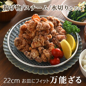 U 22cm M \ U O { XeX g ؂ VՂ tC g M U ؂ U HΉ ؂ꔲQ  bV   Lb`  