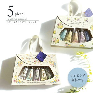 nhlCN[ 5{Zbg Mtg nhN[   킢 v[g Zbg fB[X   oY j FB ޏ  a | lCPA nhP