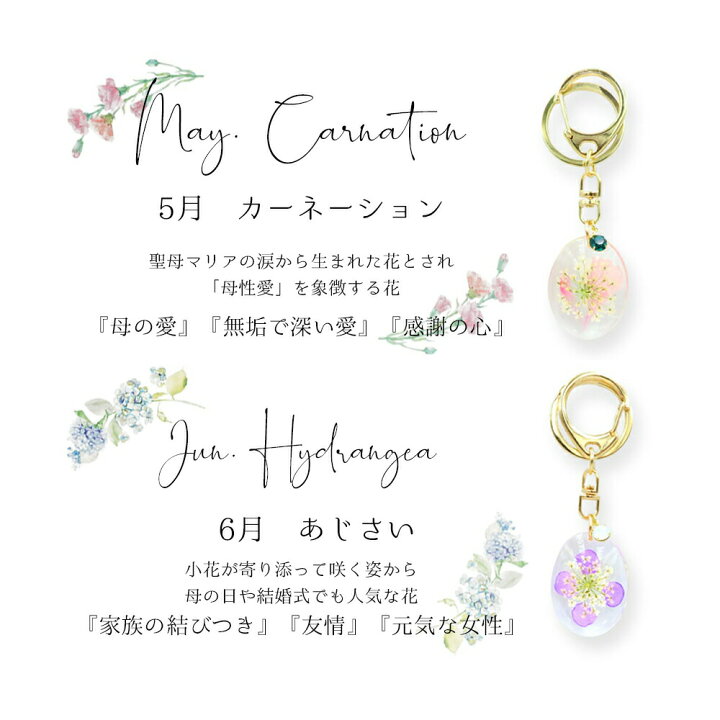 楽天市場 キーホルダー 誕生日 ギフト プレゼント 花 ドライフラワー 誕生花 誕プレ フラワーメッセージ レジン 可愛い かわいい おしゃれ ラッピング無料 サービス カード メッセージカード 付き バースデー 女友達 彼女 友達 お中元 Happyストアー