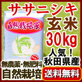 無農薬無肥料「ササニシキ 玄米 30kg」真空パック 予約注文【全お米で第1位】送料無料　2023年（令和5年）産 / 自然栽培 /自家採種米/ 長期保存のため家庭での備蓄米としても / 　真空パックの不具合は 5kg袋1個当たり500円（税別）の差額精算します。