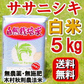 無農薬無肥料『ササニシキ 白米 5kg 』予約注文。　石山農産　2023年（令和5年）産。/ 真空パックの不具合は5kg袋1個当たり500円（税別）の差額精算します。