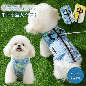  t  N[xXg ŔG炷 pxXg ^ ⊴ Ђ wJ n[lXt hbOEGA  ʋC MǑ΍ Ăh o U ybgpi