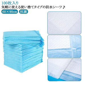 zV[g ĝ ӂƂS 100 ˂V[c hV[c 60×90cm pV[c xbh hpbh R ~pbh h~ zc  ˂΍ hV[c hV[c p