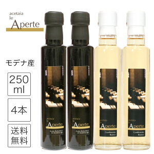oT~R fB fi IGP 2 E 5Nn 250ml 4{ Zbg Aye A`F[g Y F C^A rlK[ |  hbVO Modena oT~R| zCgoT~R| o