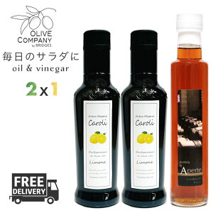 デリシャス サラダ ドレッシング セット PRO オリーブオイル エキストラバージンオリーブオイル レモン フレーバー ホワイトバルサミコ酢 ビアンコ 250ml 3本 セット 瓶 イタリア 無添加 調味