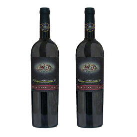 赤ワイン 辛口 フルボディ DOC イタリア プーリア産 プリミティーヴォ ディ マンドゥリア 750ml 2020年 2本セット